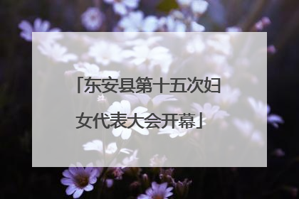 东安县第十五次妇女代表大会开幕